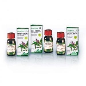 Gemmosol 36 RIBES NERO