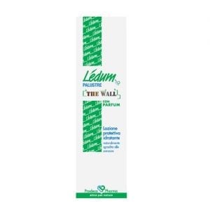 Ledum THE WALL