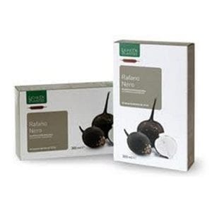 Rafano Nero BIO