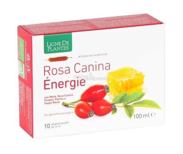 Rosa canina énergie BIO